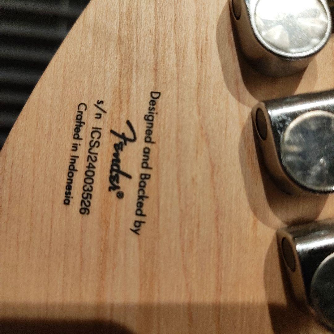 スクワイヤー　ムスタング