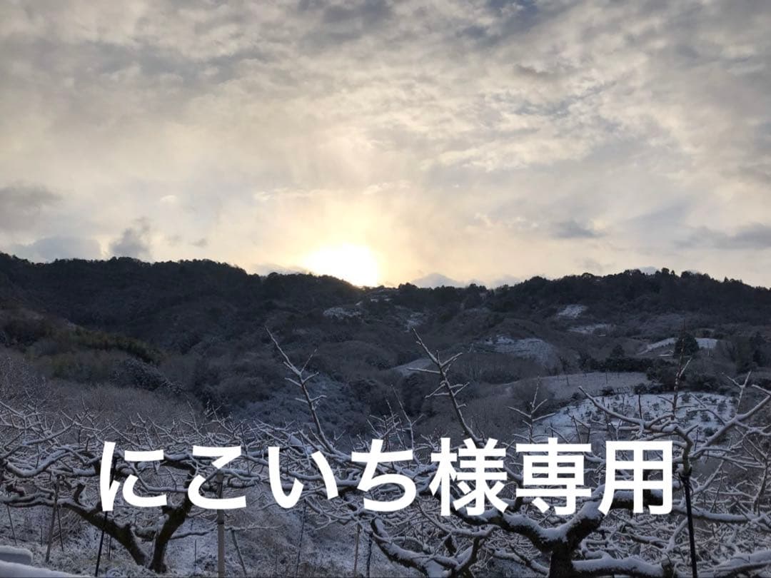 にこいち　和田果樹園の果物10kg