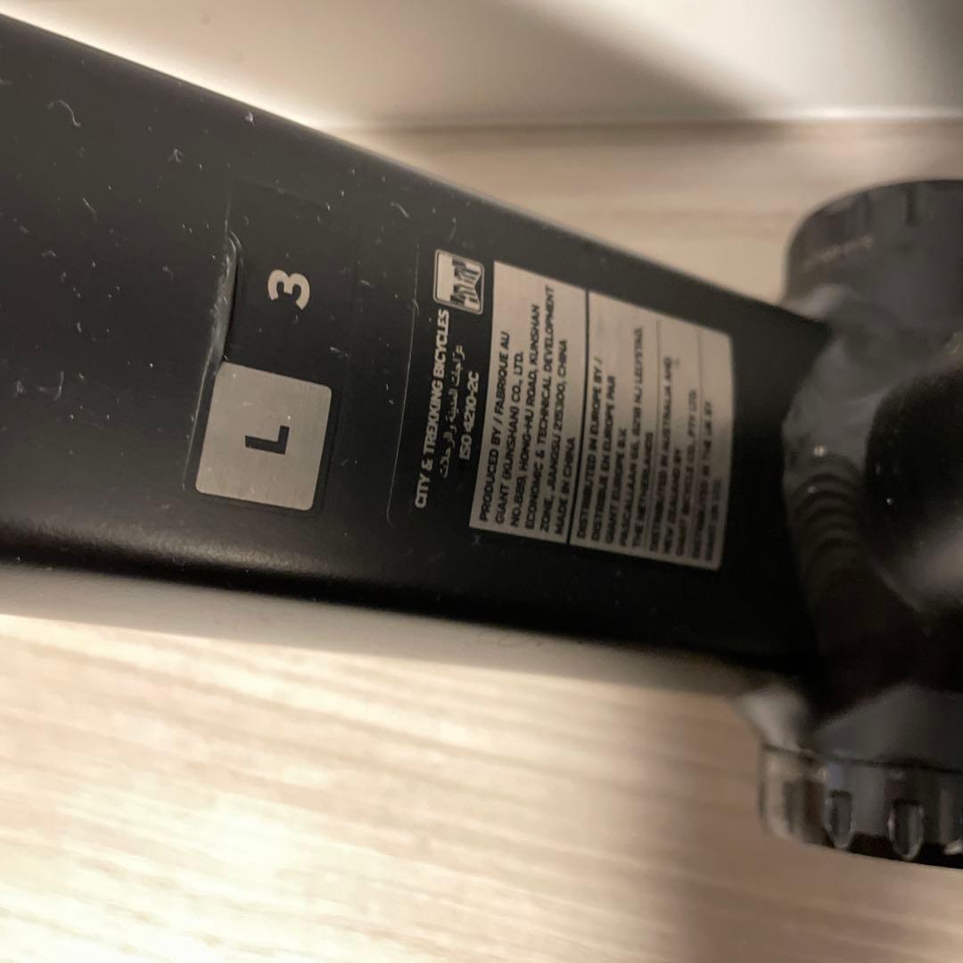 ジャイアント　エスケープ　フレーム　RX3 2021年　モデル　Lサイズ