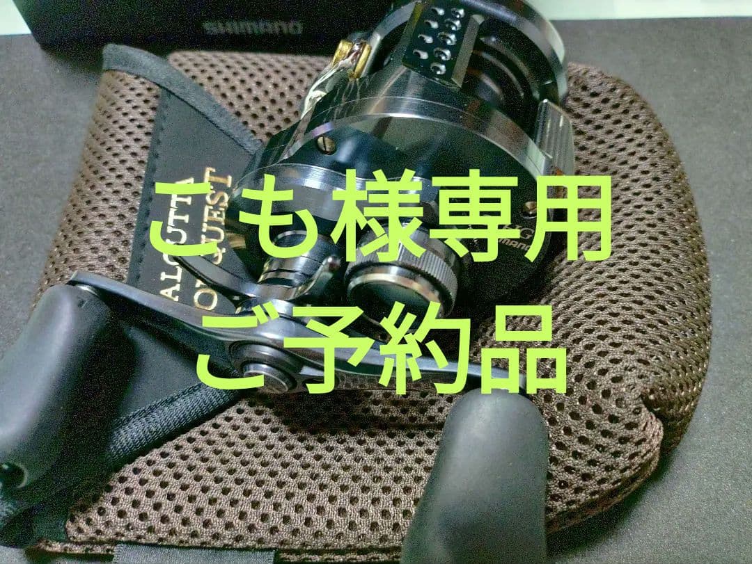 カルカッタコンクエスト 31HG　こも