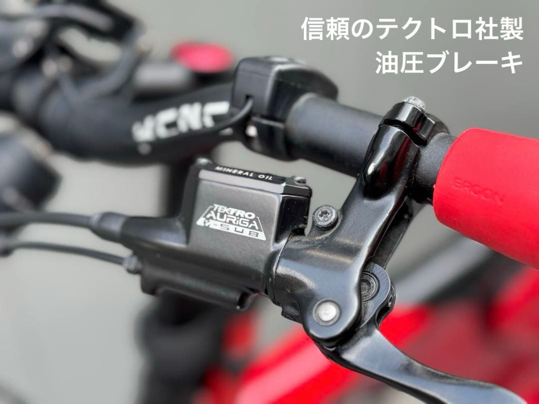 BESV PS-1 レッド カーボン e-Bike 点検済 バッテリー良好