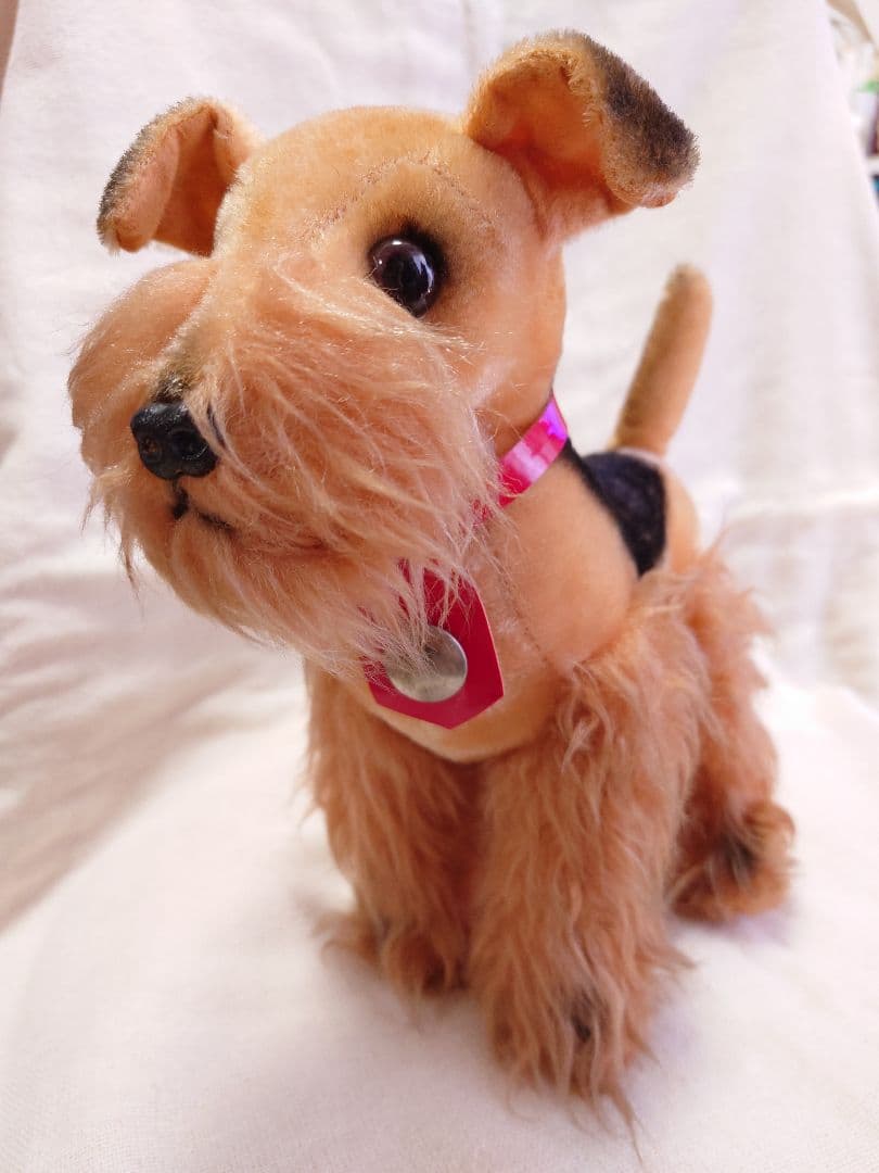 【希少品！】ふしぎ犬トントン★エアデールテリアぬいぐるみ
