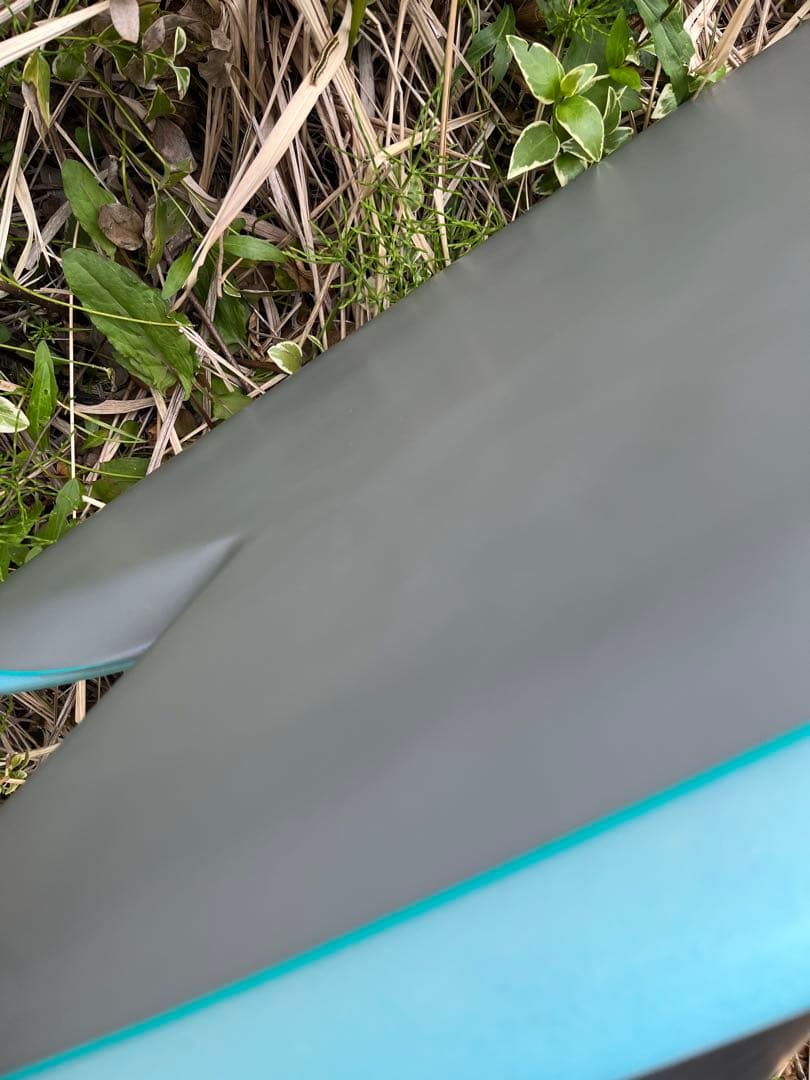 Ryan Burch Orange Fish? ライアン　バーチ