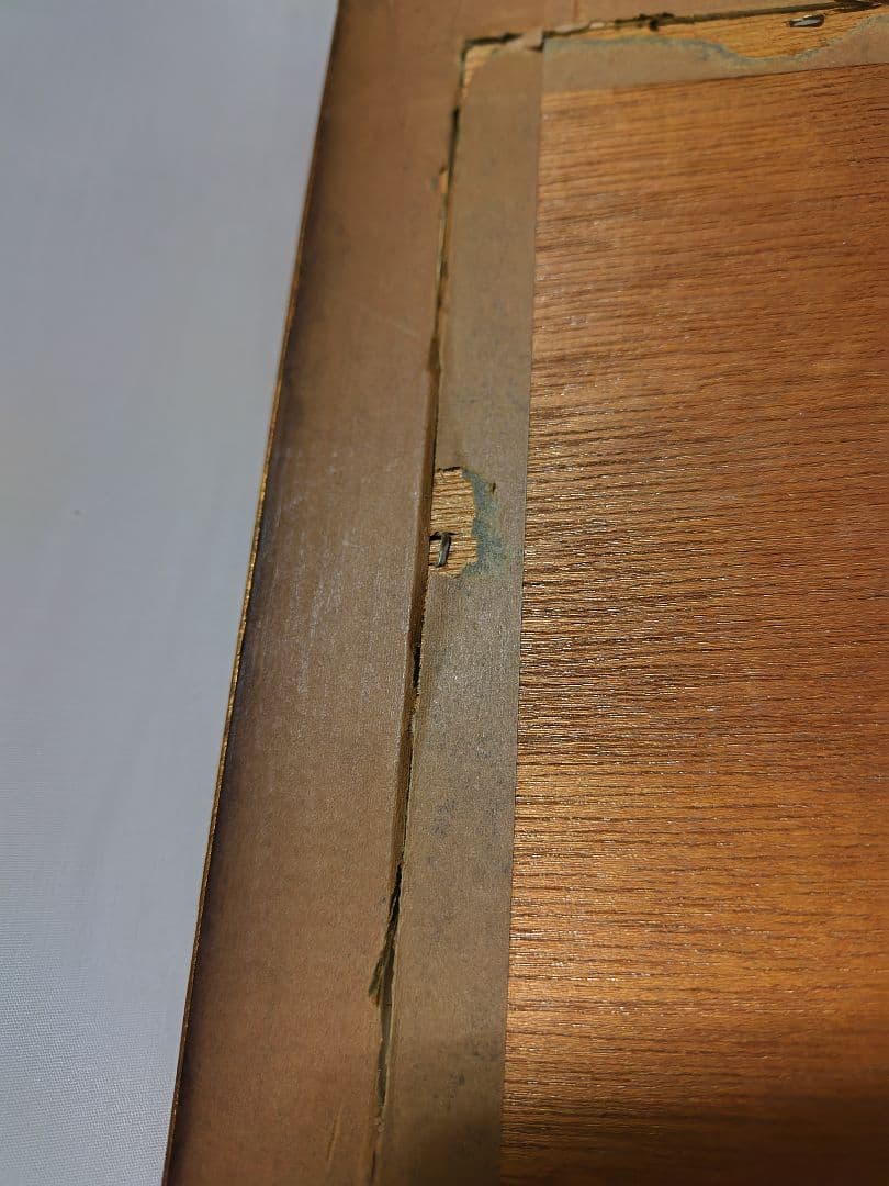 ルノアール、たかを持つ少女、鷹と少女