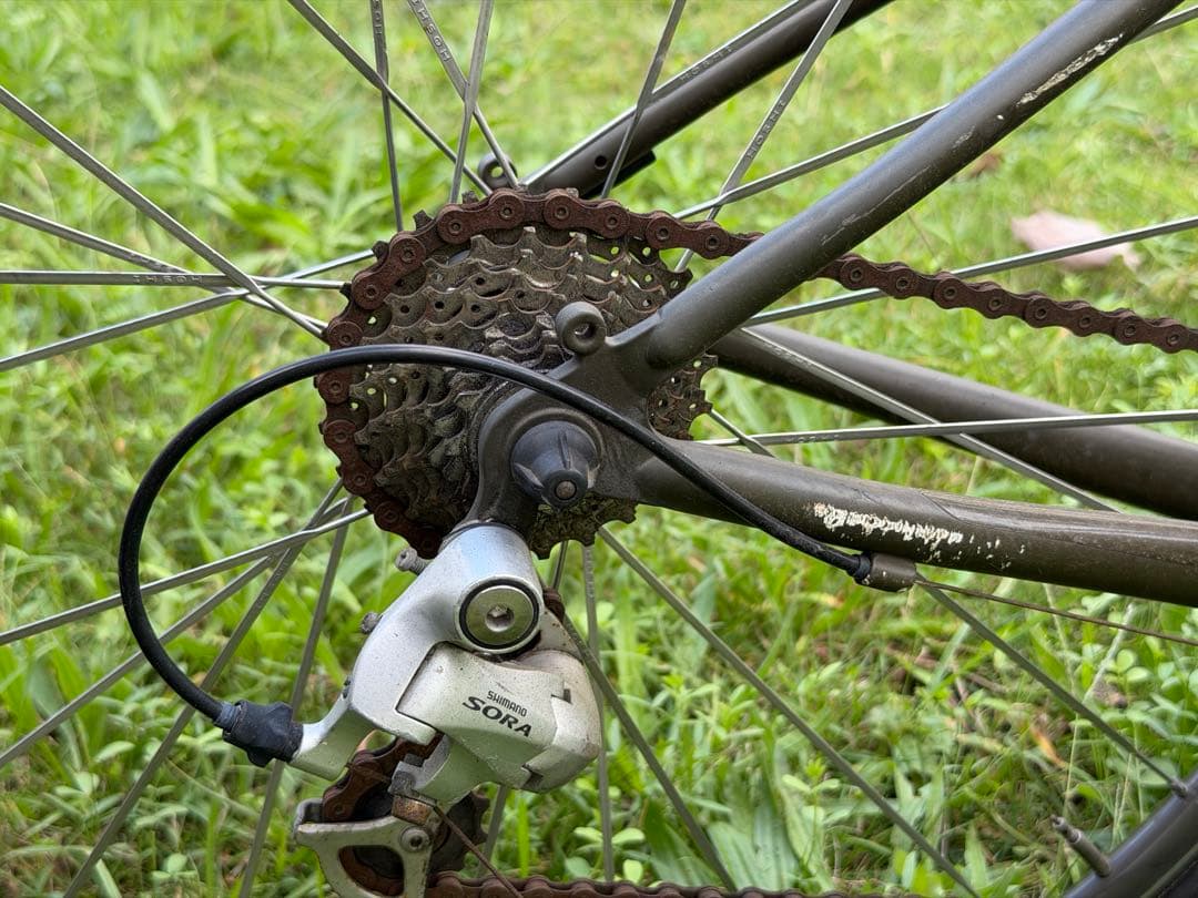 TOKYO BIKE 650C 前輪なし