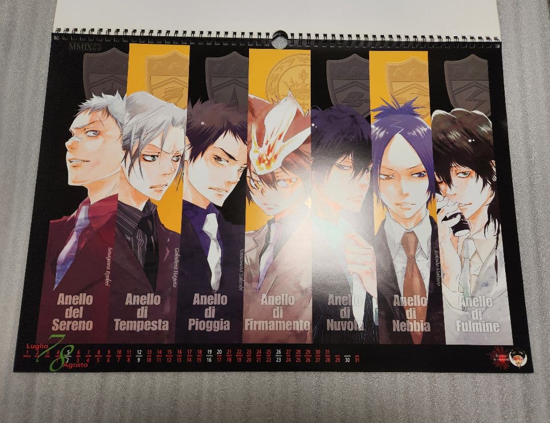 【希少品】家庭教師ヒットマンREBORN 2009年カレンダー