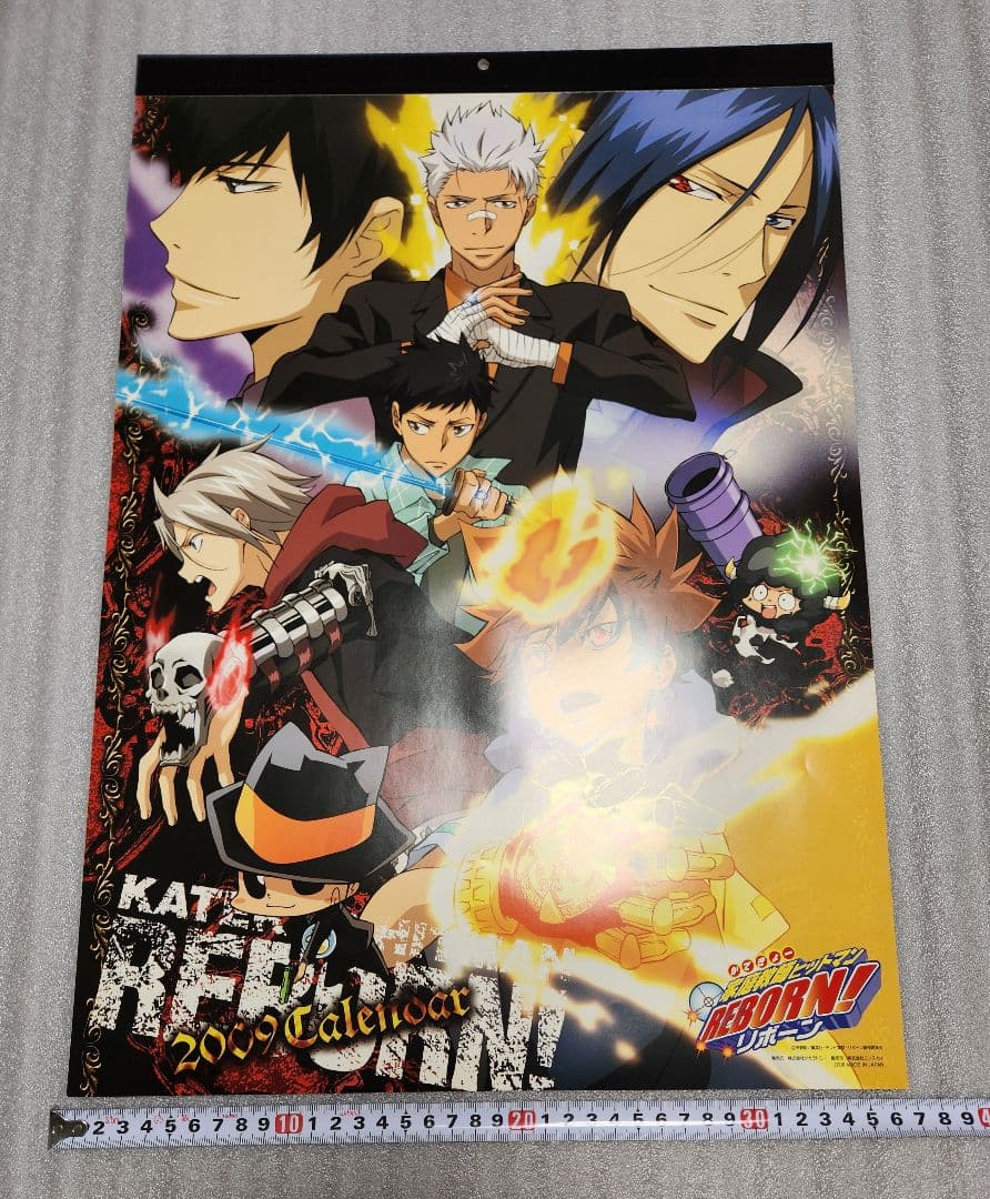 【希少品】家庭教師ヒットマンREBORN 2009年カレンダー