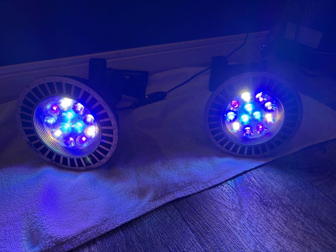 ボルクスジャパン グラッシーレディオ RX122s リーフ　2個