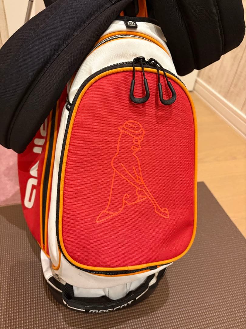 棚卸し PING キャディバッグ スタンドタイプ