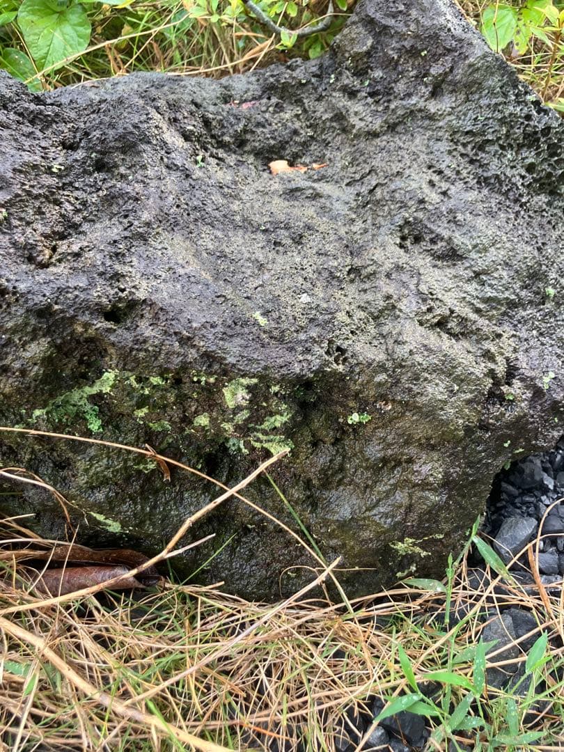 富士山溶岩プレート