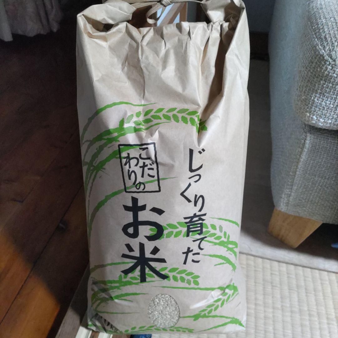 令和7年 減農薬【岐阜県産コシヒカリ】【新米10kg】