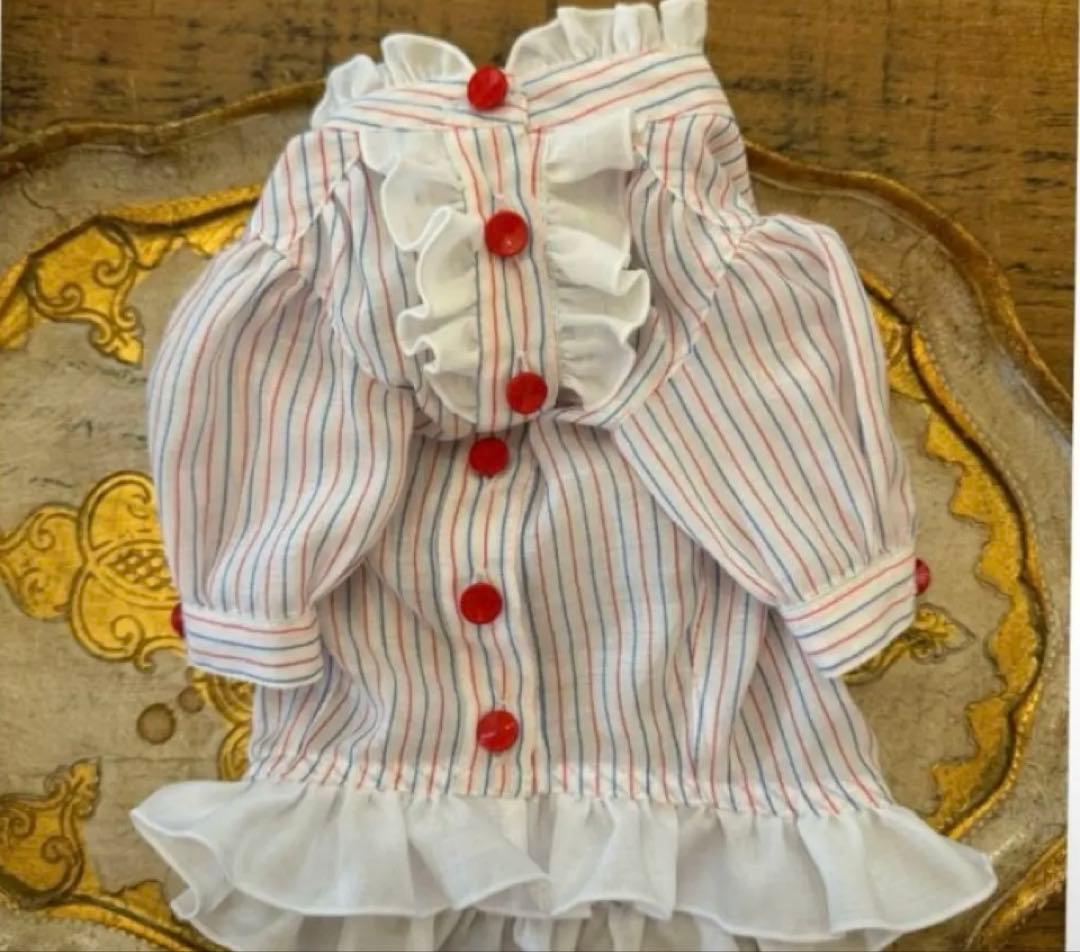 値下げアトリエgg⭐︎ピカソのみ娘