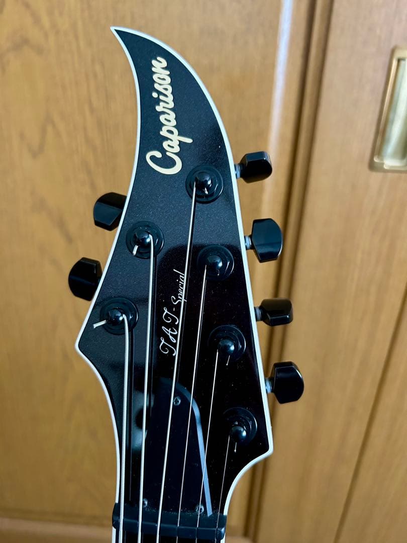 Caparison TAT FX 美品 BW搭載 純正ケース付