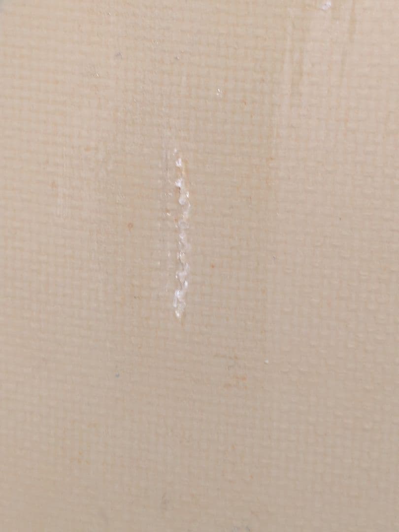 FireWire Sundayファイヤーワイヤーサンデー5'9 2+1