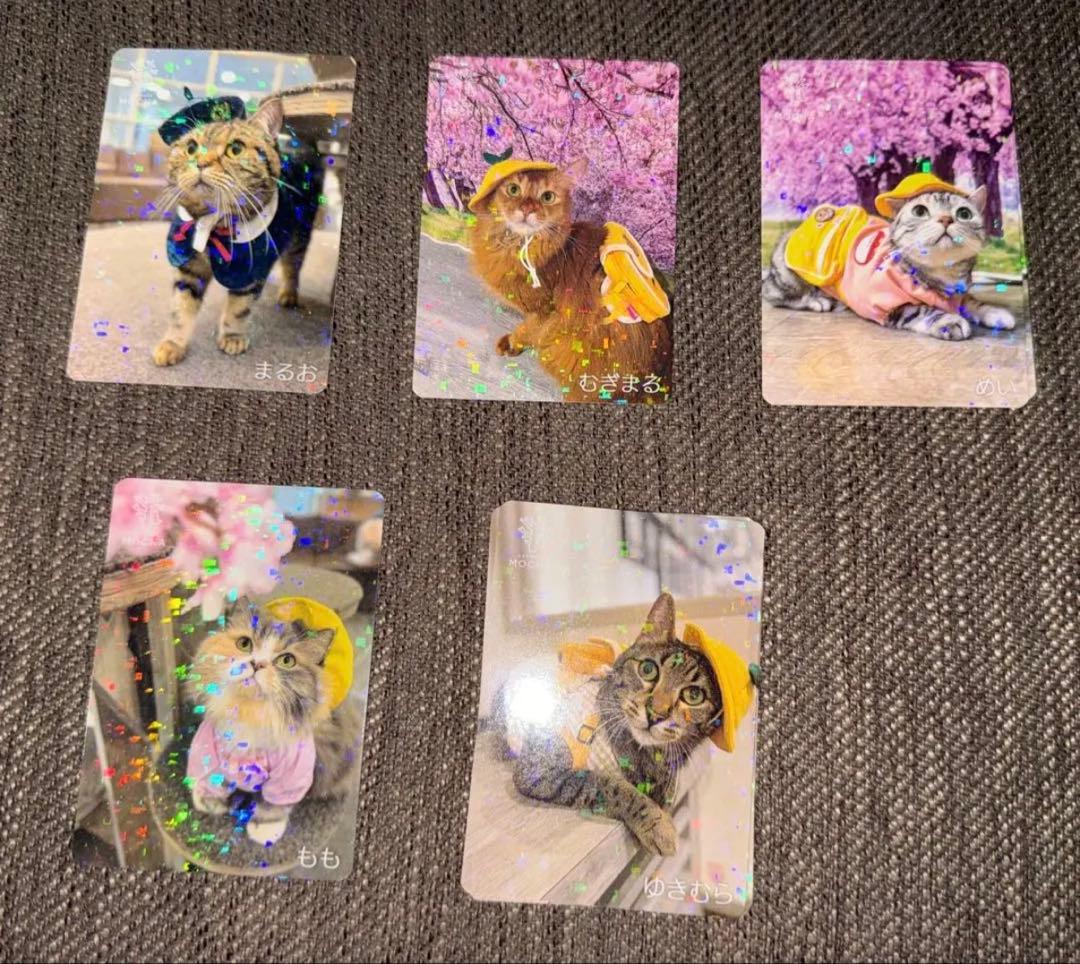 【バラ売り可】にゃんずトレカ立川店 2025