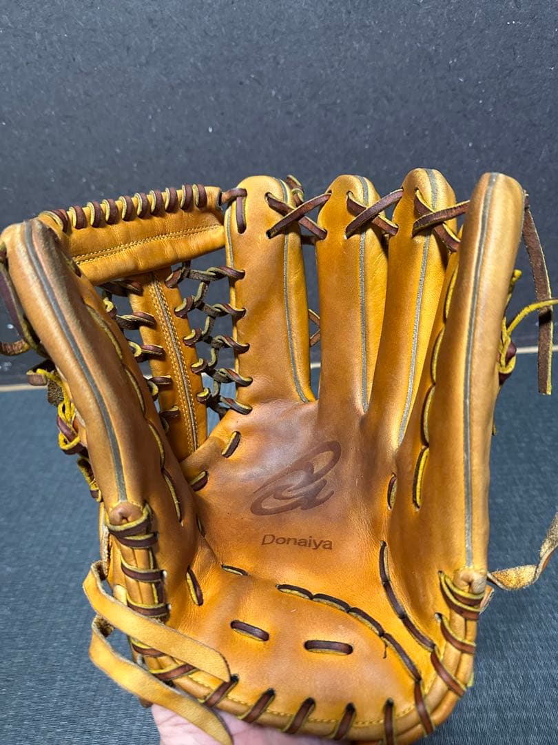 ドナイヤ 軟式 外野手