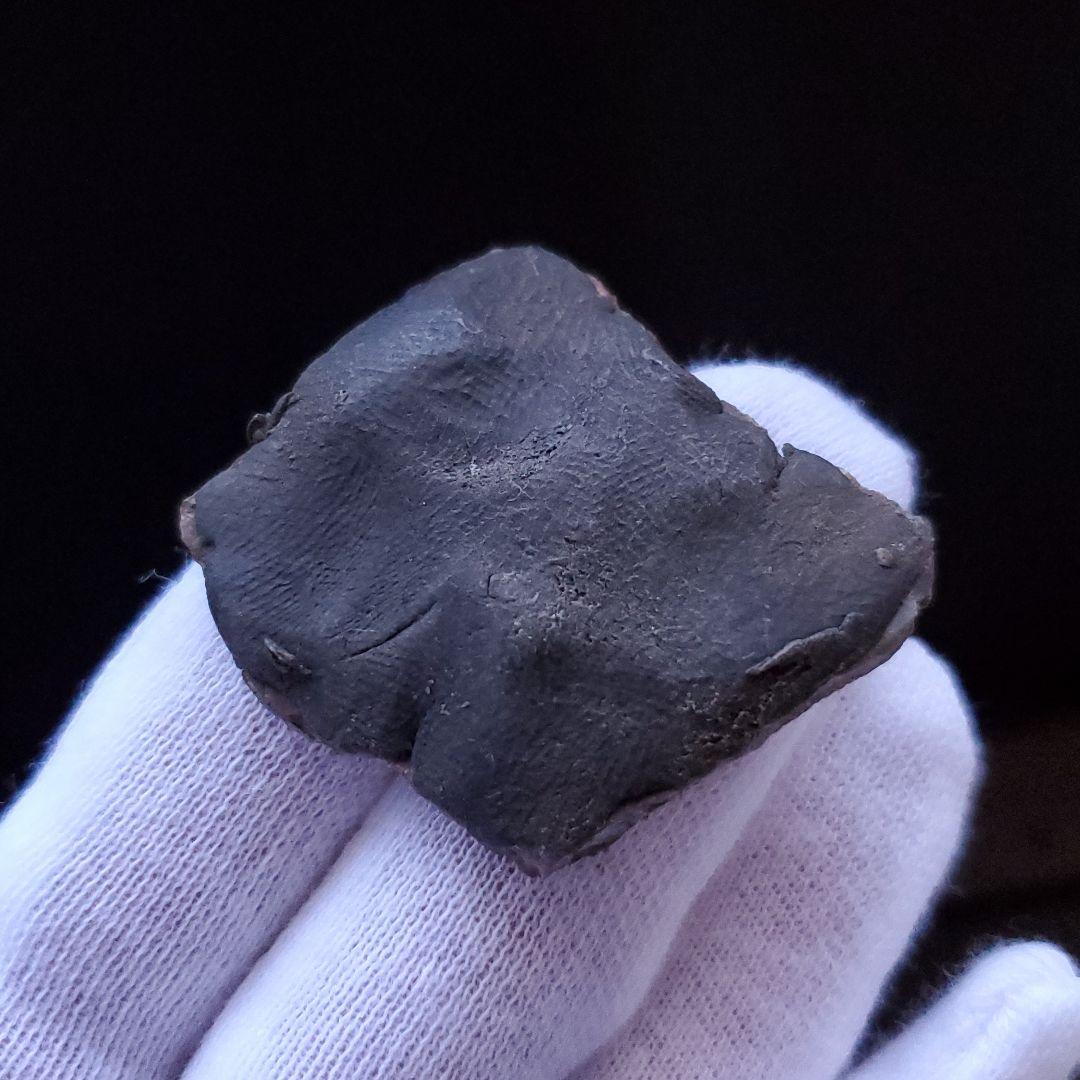 遊色 アンモライト 化石 本物 カナダ産 42.22mm anr7