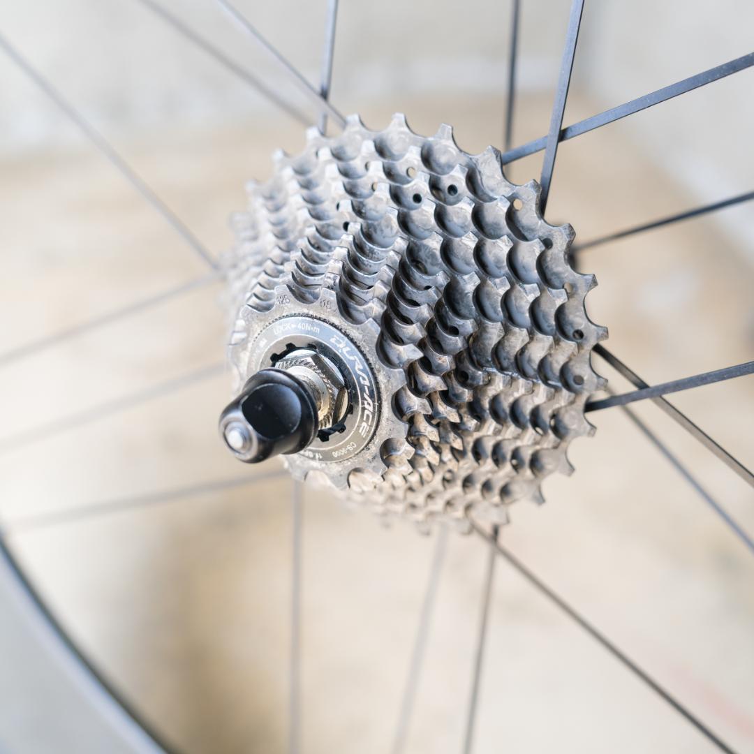 カンパニョーロ BORA ULTRA 80 CULT TU 後輪