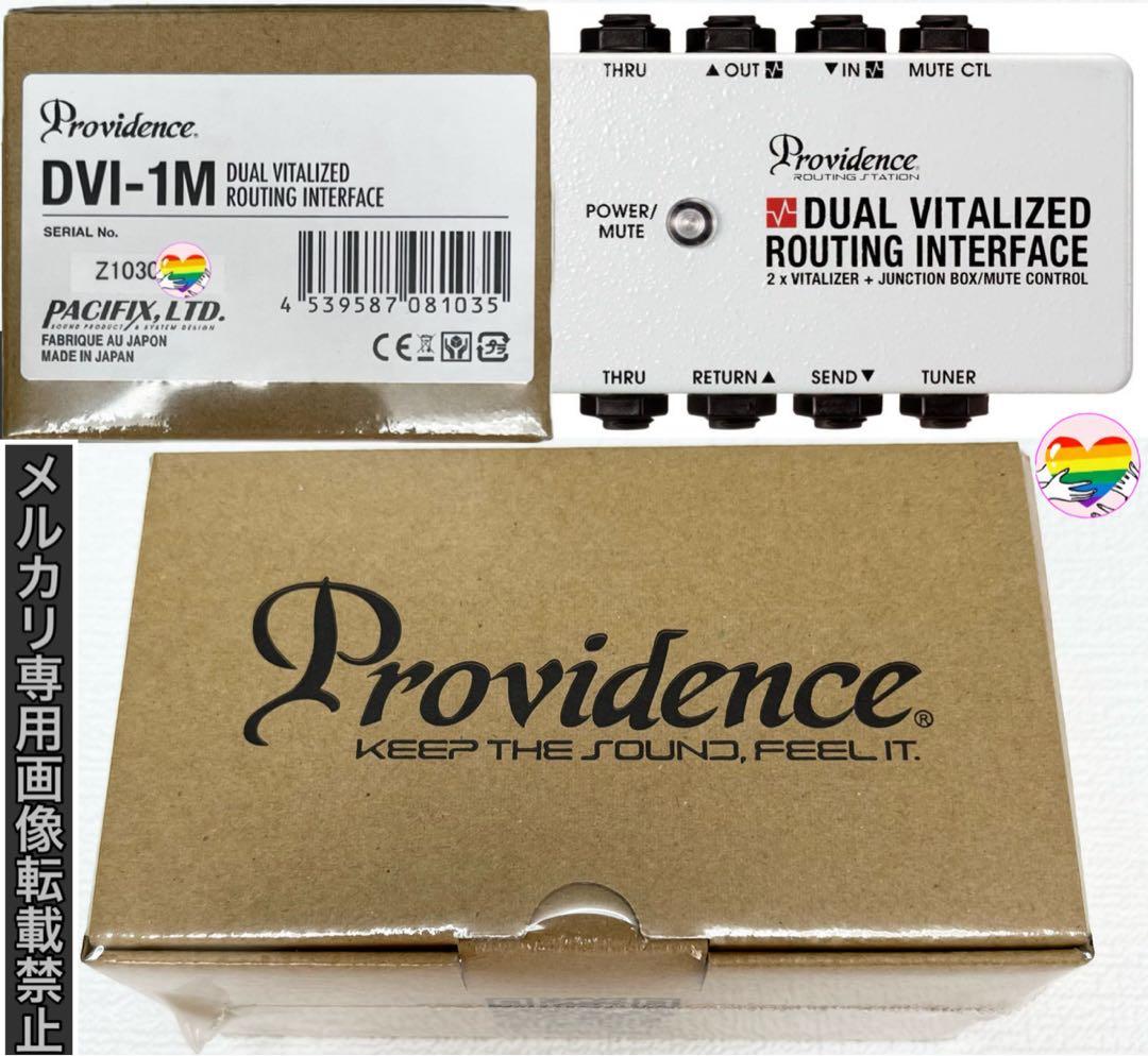 【完全未開封】PROVIDENCE DUAL VITALIZED DVI-1M