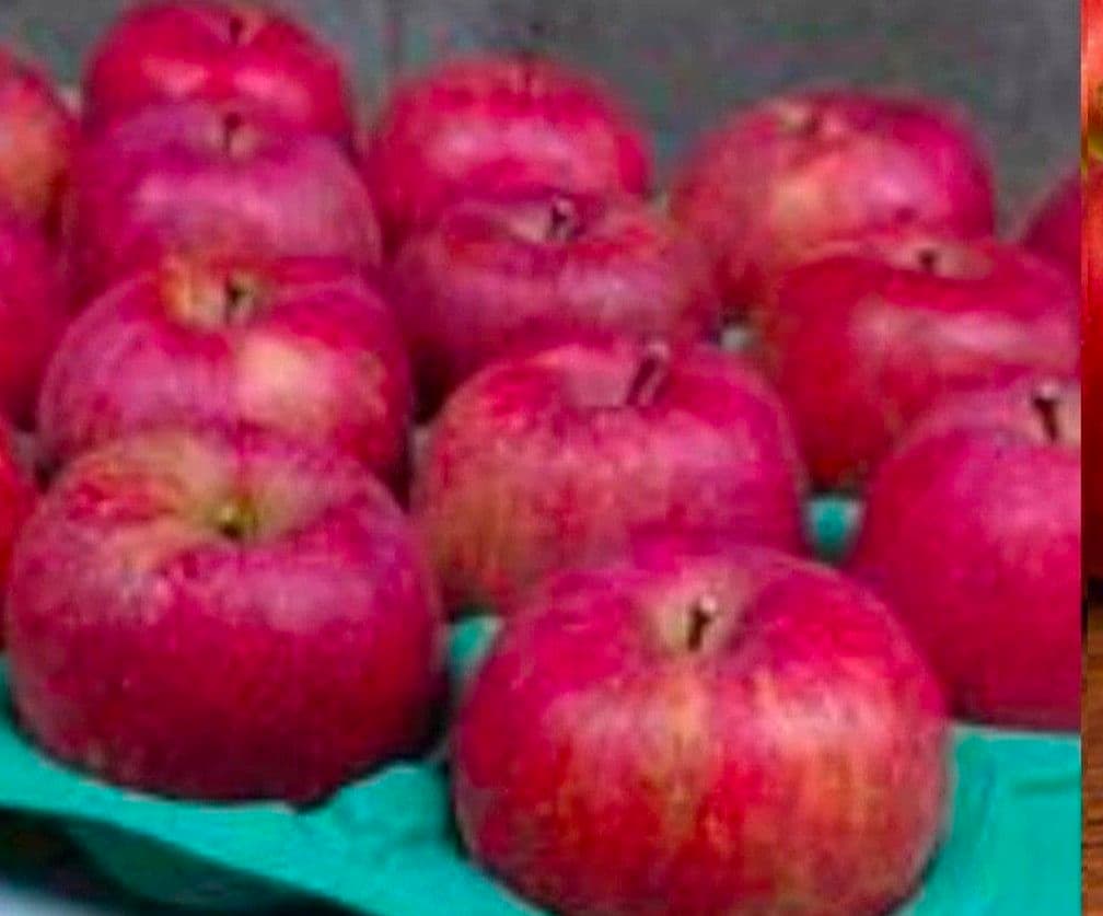 専用のお品物となります