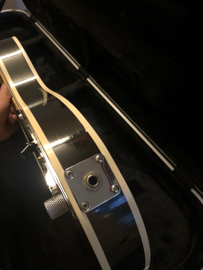 Vanzandt tlv-R2 ハードケース付き