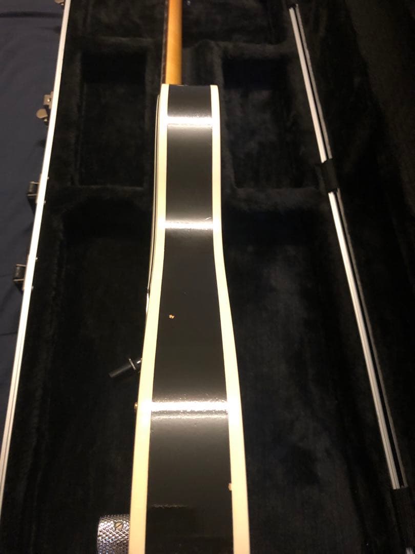 Vanzandt tlv-R2 ハードケース付き