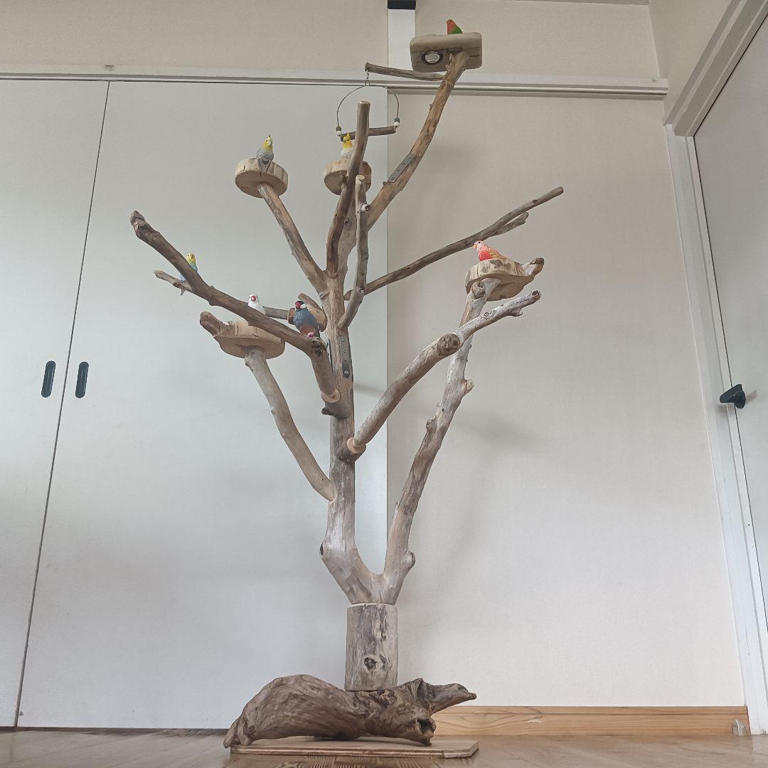 バードアスレチックジム大型 ② 天然木 自然木 流木 インコ おもちゃ