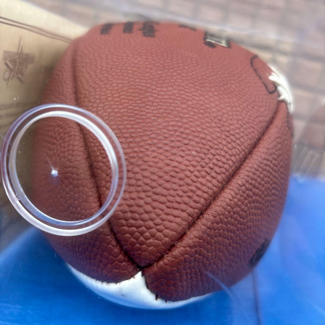 NFLクォーターバック　ダン・マリーノ　サイン入りフットボール　ウィルソン