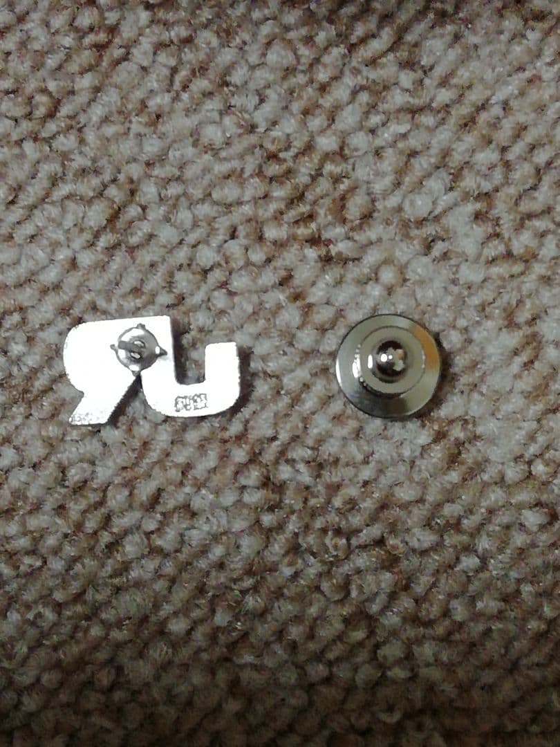 55JR 東日本襟章 純銀 ピンタイプ 現行品