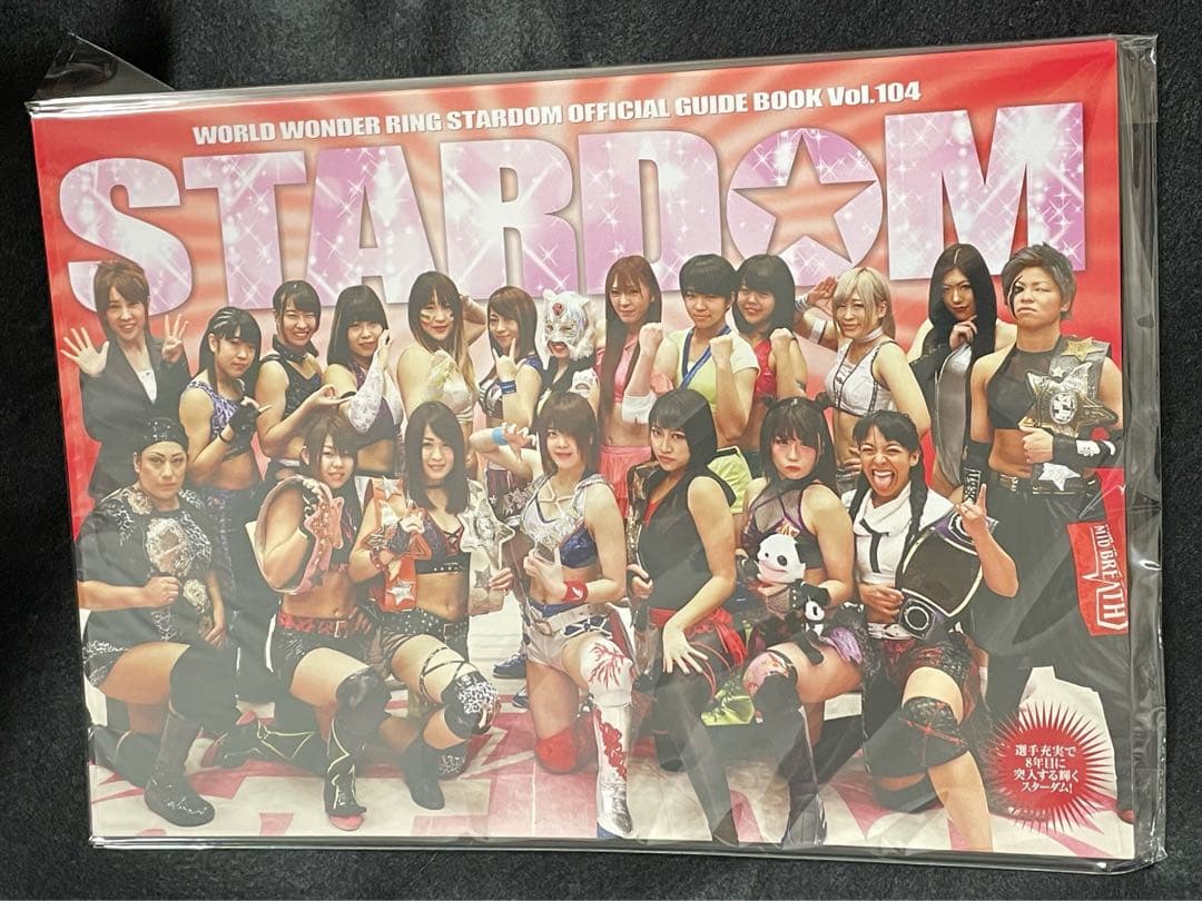 激レア スターダム STARDOM プロレス ガイド 岩谷麻優 木村花 紫雷イオ