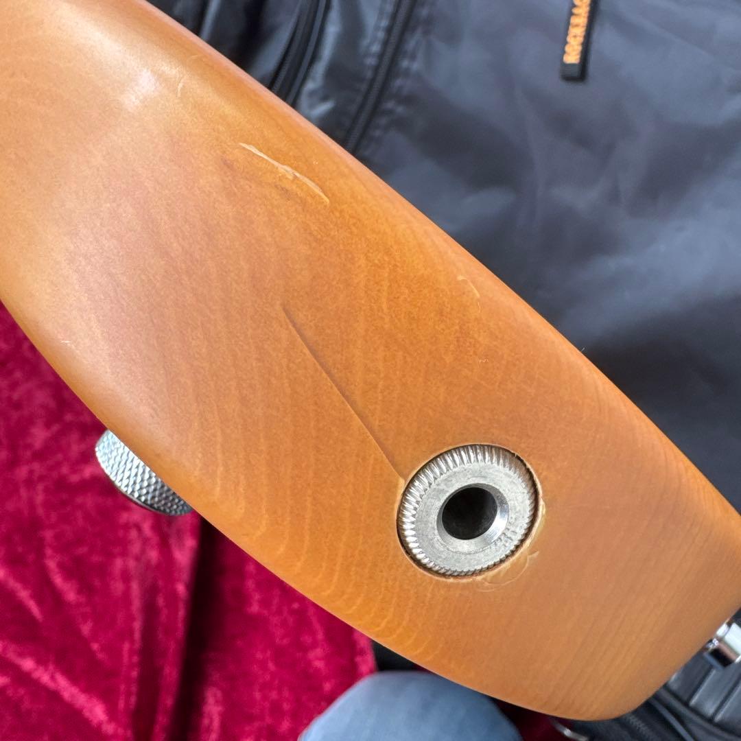 美品 メンテ済 Warwick Streamer Standard 5st