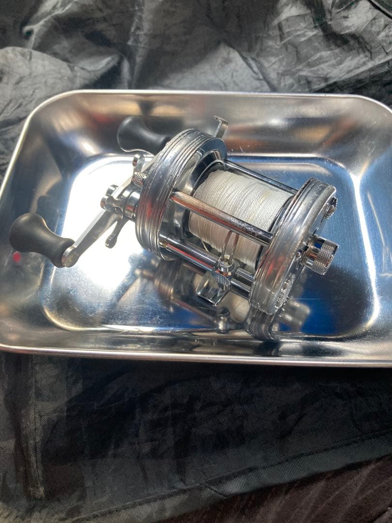 abua6500Cオールド雷魚ナマズ