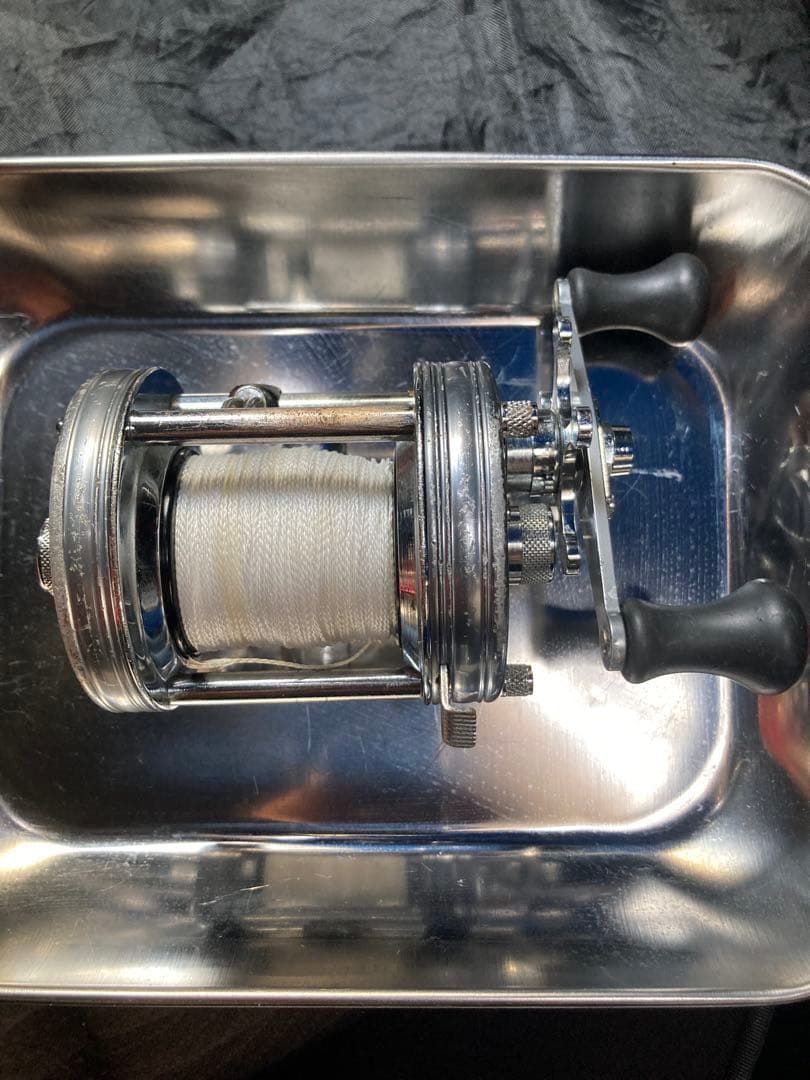 abua6500Cオールド雷魚ナマズ