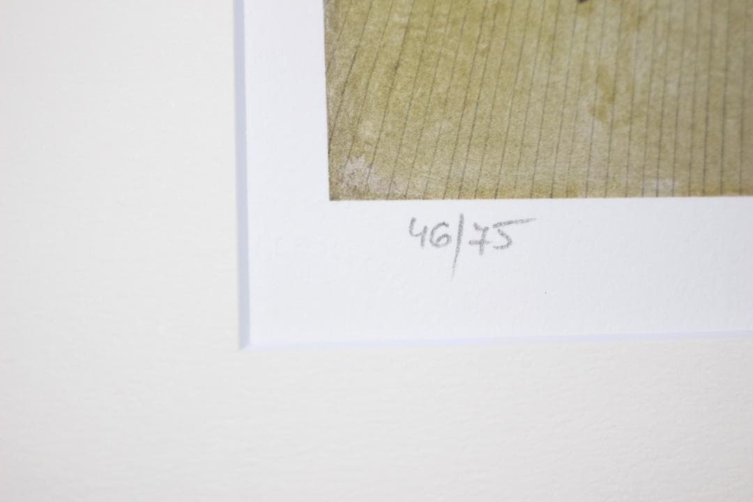 藤田嗣治 エスタンプリトグラフ「誕生日」 75部限定 46/75