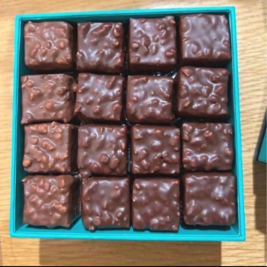 PATRICK ROGER チョコレート 16個入り