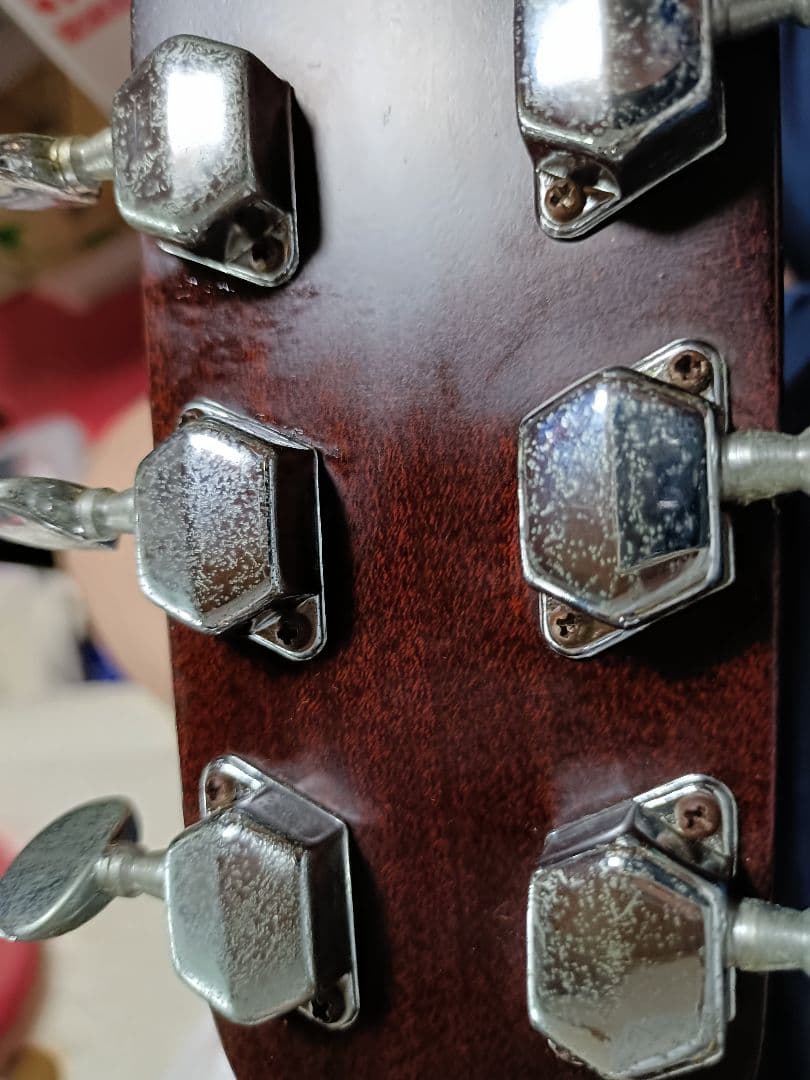 Jagard & Co アコースティックギター JD150飯田楽器製