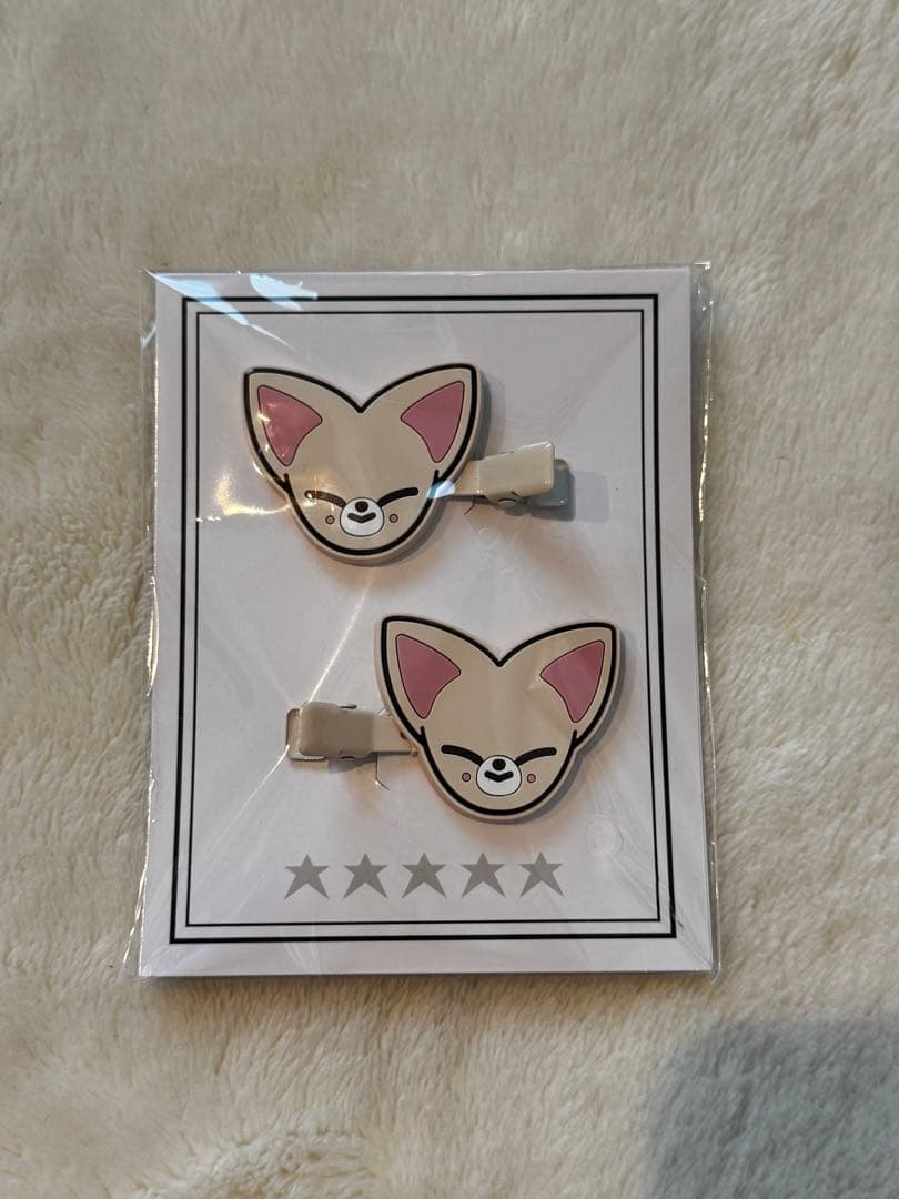 stray kids スキズ 5-STAR I.N アイエン　うちわ　ネックレス