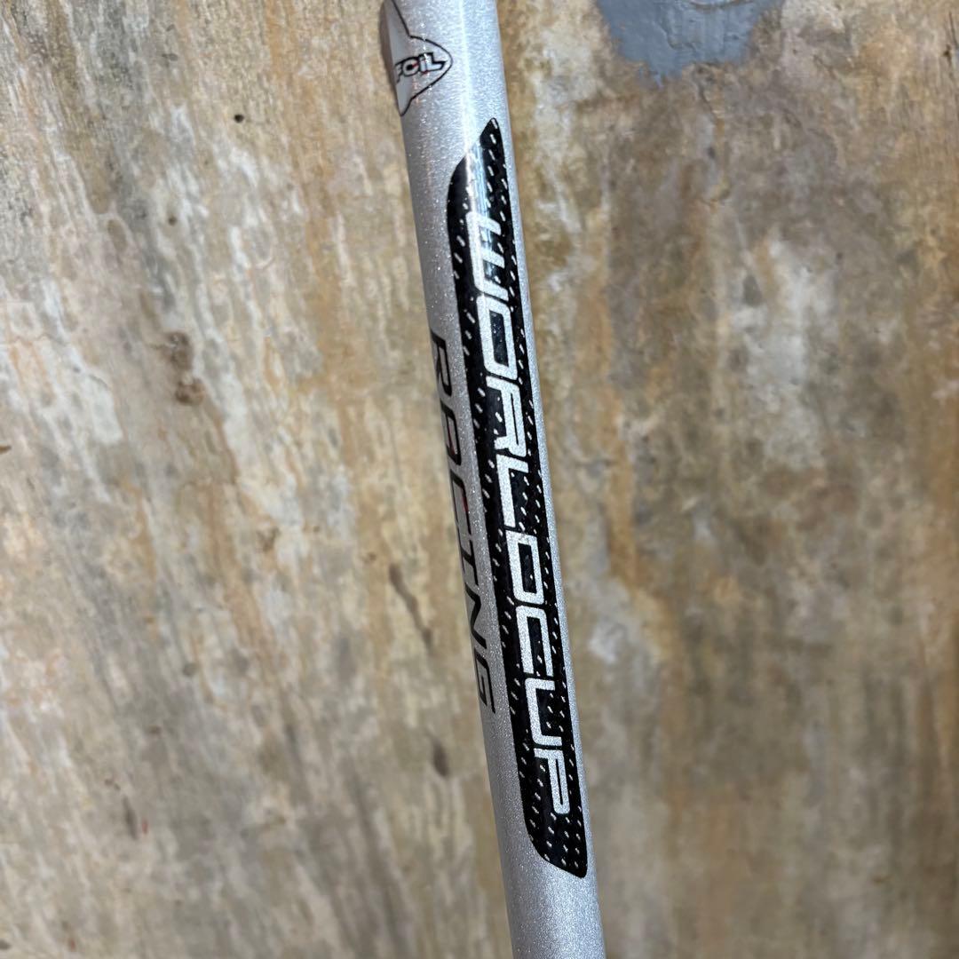 LEKI Worldcup Racing スキーストック 110cm - 44\"