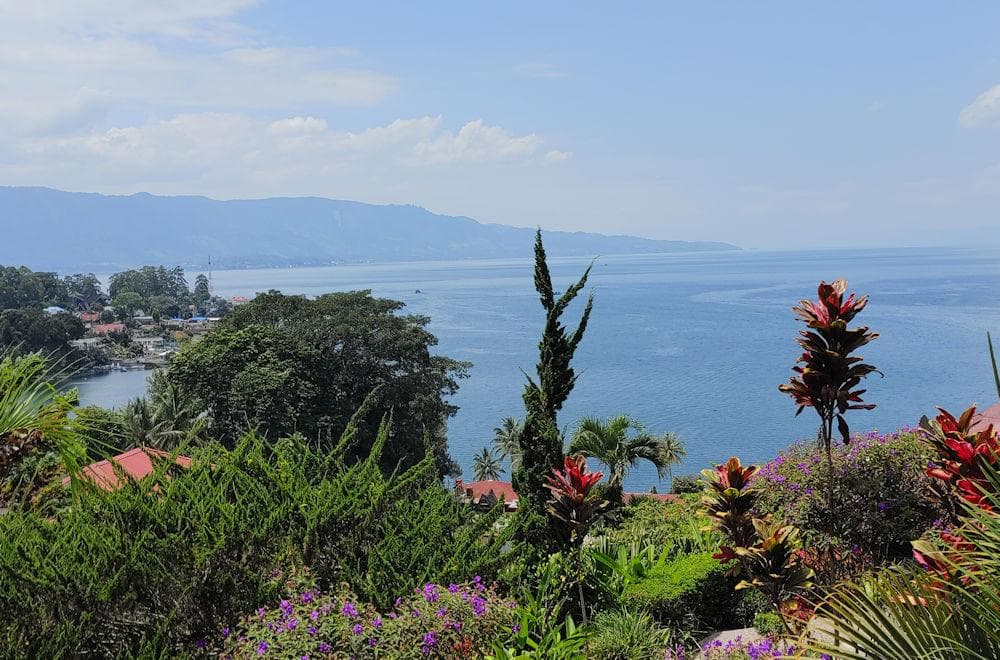 夏の山椒祭り：熱帯スマトラ島トバ湖より、アンダリマン山椒粉末、大容量1000g