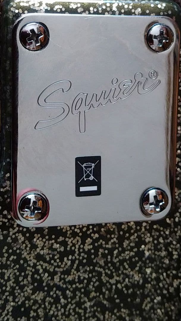 SQUIER　テレキャスター SCANDAL HARUNA スカル柄