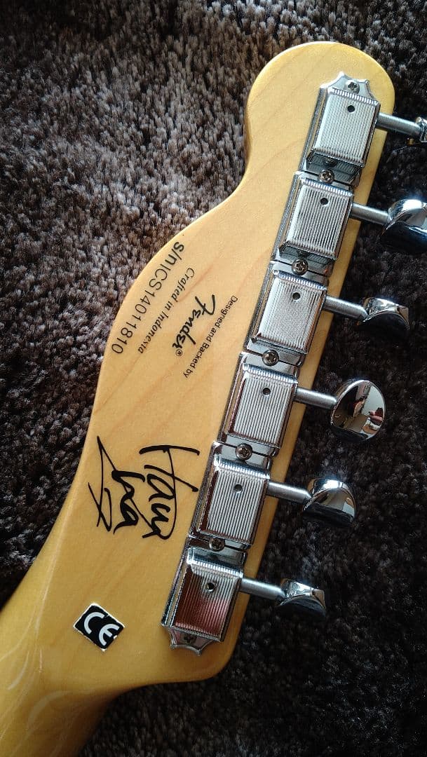 SQUIER　テレキャスター SCANDAL HARUNA スカル柄