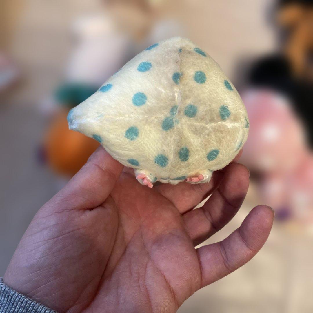 2017年　センチメンタルサーカス　スペシャルハロウィンセット