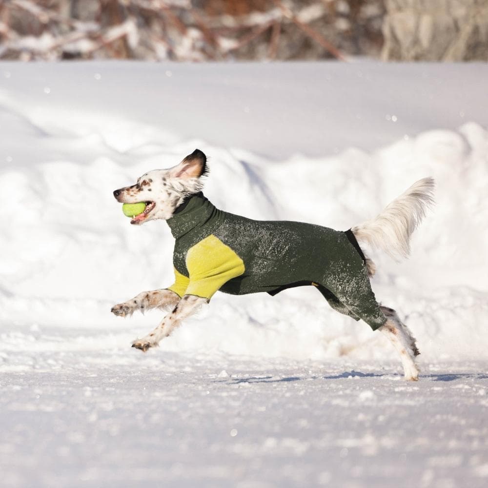 ダリア　モスグリーン2点