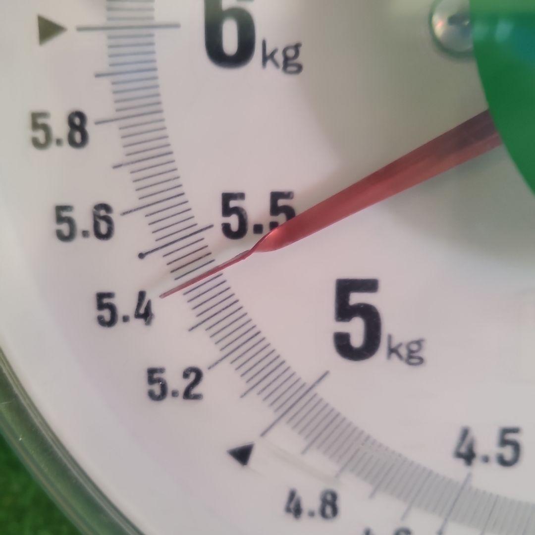 1⃣ 山梨県産 シャインマスカット １０房入り 箱込み5.4キロ