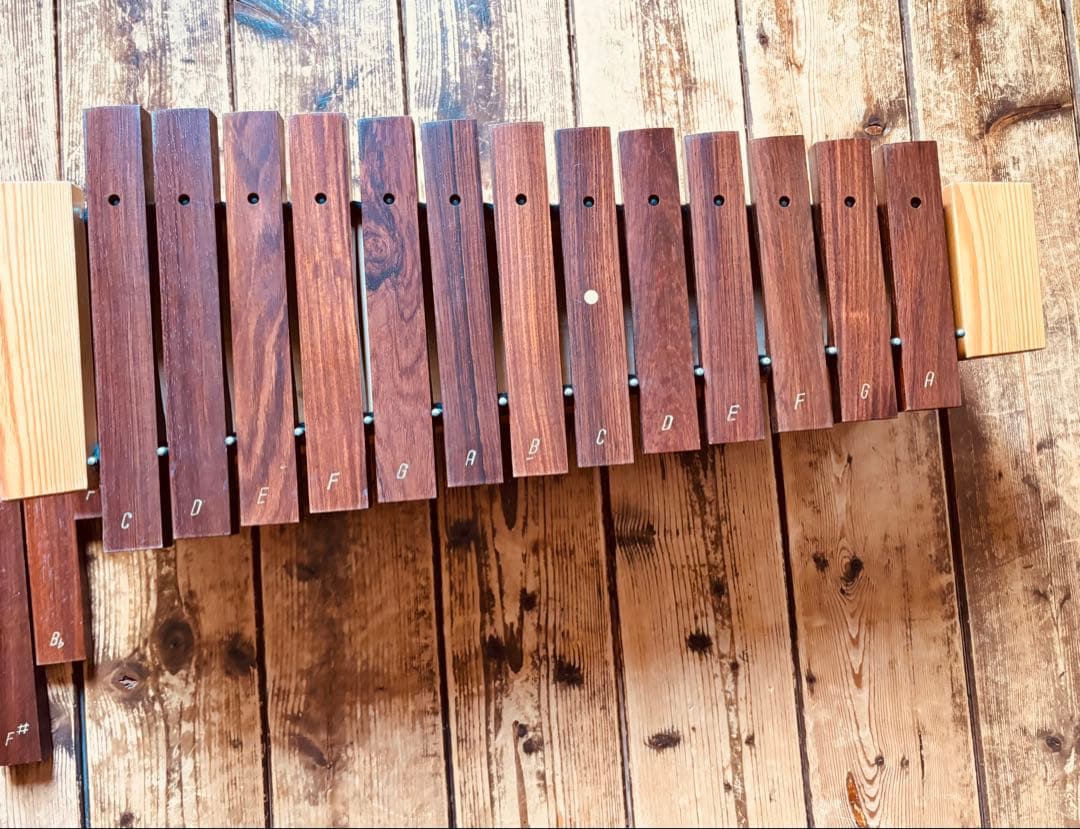 STUDIO49 SX2000 木製ソプラノシロフォンdiatonic