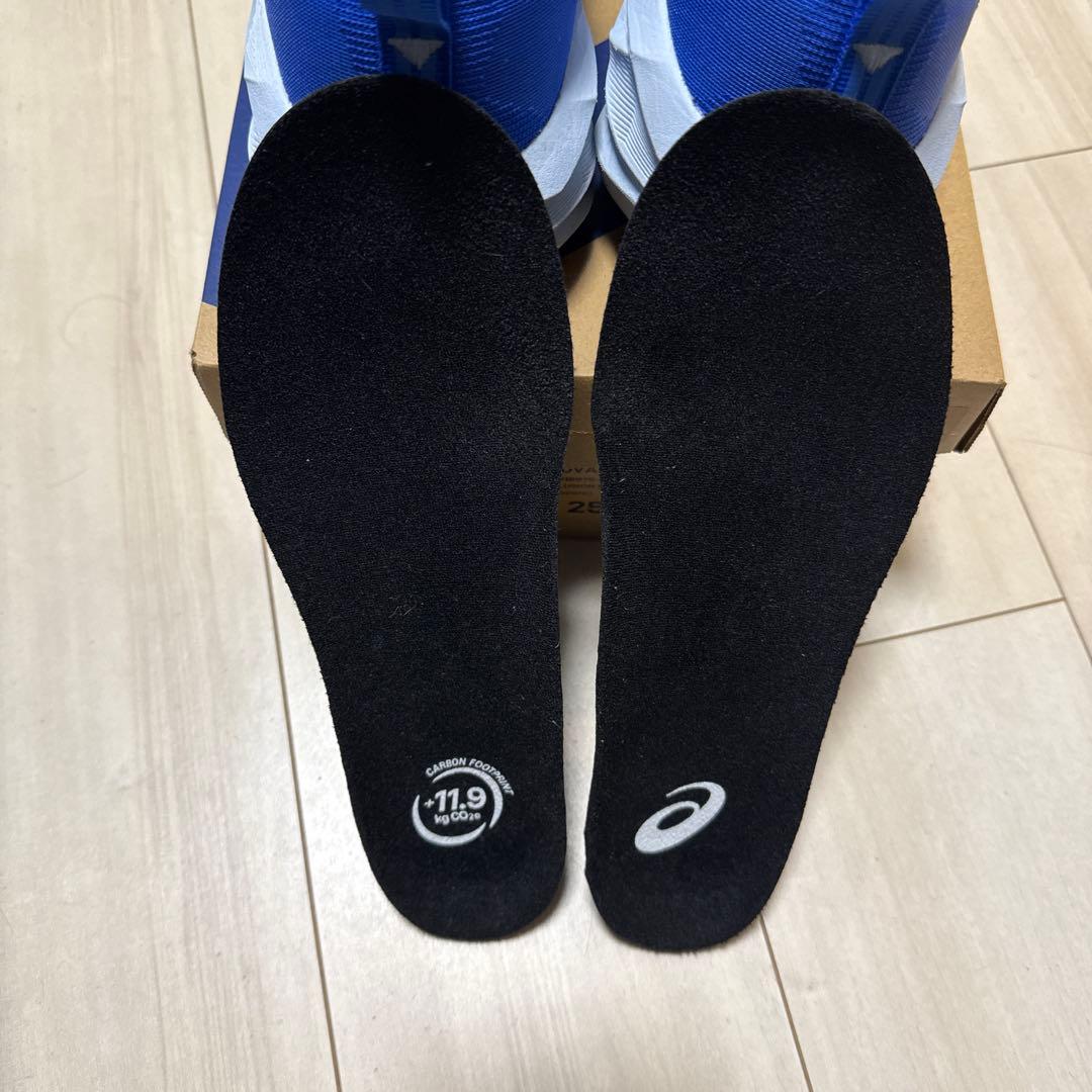 K*C様 【箱有り】ASICS NOVABLAST 5 メンズ　25.0cmワイ