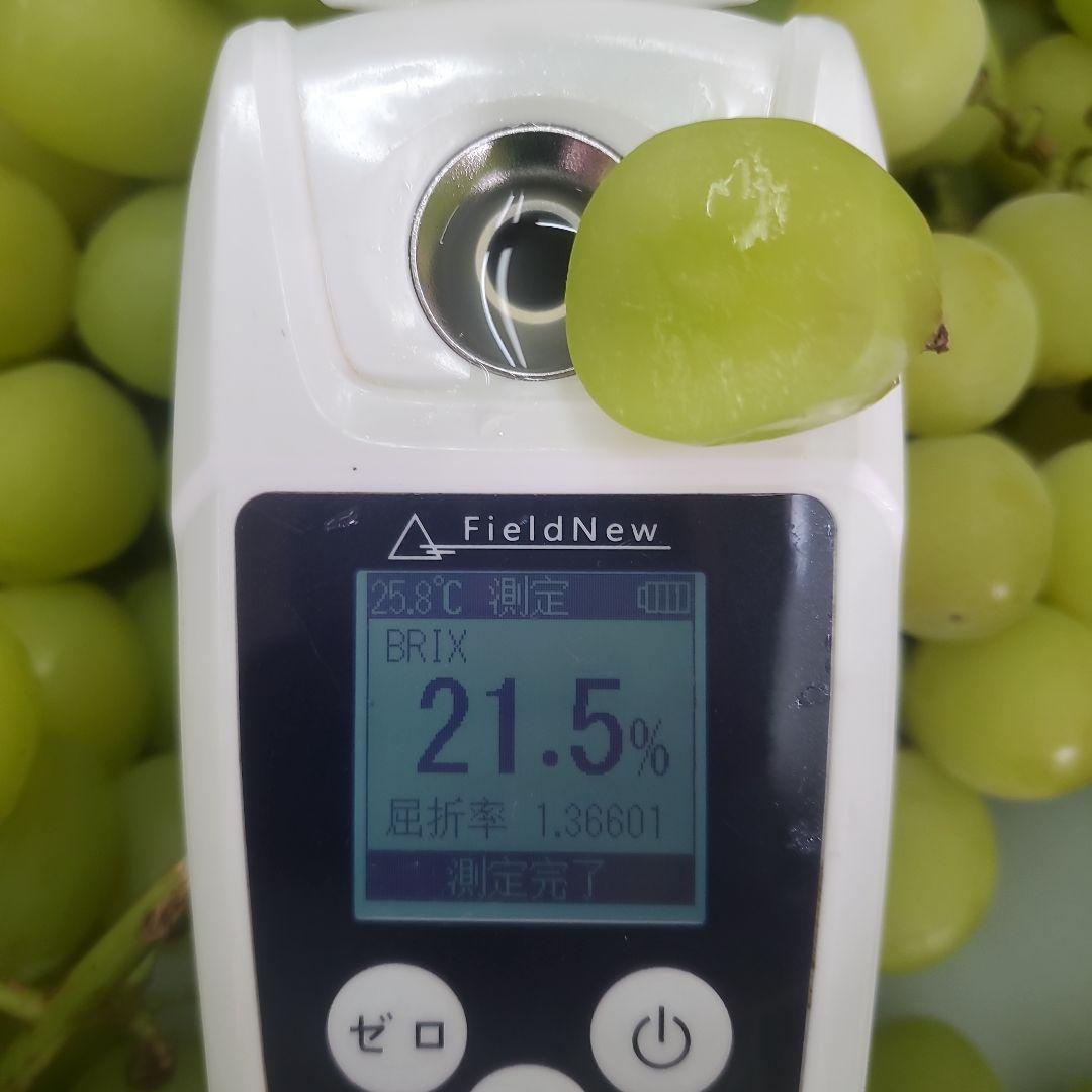 5️⃣ 山梨県産 シャインマスカット１４房 箱込み5.5キロ