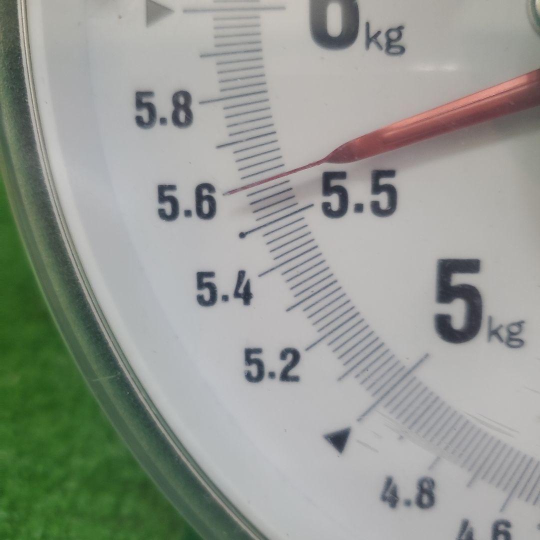 5️⃣ 山梨県産 シャインマスカット１４房 箱込み5.5キロ