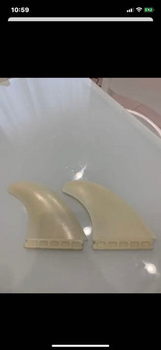 テイムパターソンシエープフィッシュ