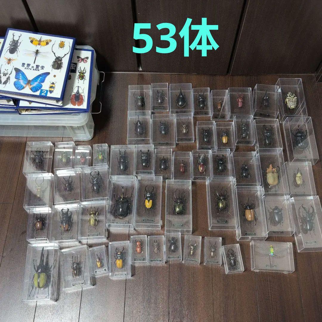 53体！！ディアゴスティーニ　世界の昆虫　データブック4冊